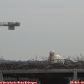 11_05-mast.jpg