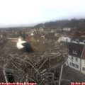 11_15-nest.jpg