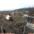 11_20-nest.jpg