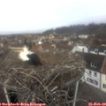 11_25-nest.jpg