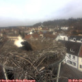 11_35-nest.jpg
