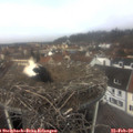 11_45-nest.jpg