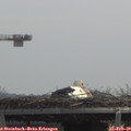 12_00-mast.jpg