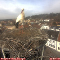 12_05-nest.jpg