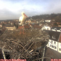 12_10-nest.jpg