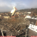 12_15-nest.jpg