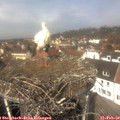 12_20-nest.jpg
