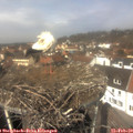 12_25-nest.jpg