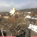 12_30-nest.jpg