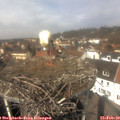 12_40-nest.jpg