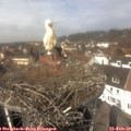12_45-nest.jpg