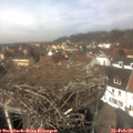 12_55-nest.jpg
