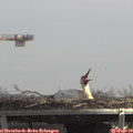 13_00-mast.jpg