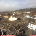 13_00-nest.jpg