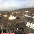 13_05-nest.jpg