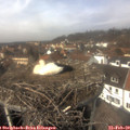 13_10-nest.jpg