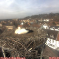 13_20-nest.jpg