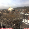 13_25-nest.jpg