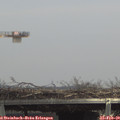 13_35-mast.jpg