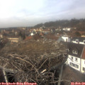 13_35-nest.jpg