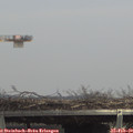 13_40-mast.jpg