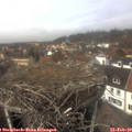 13_40-nest.jpg
