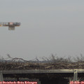 13_45-mast.jpg