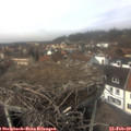 13_45-nest.jpg