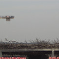 13_50-mast.jpg