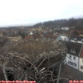 14_00-nest.jpg