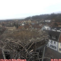 14_05-nest.jpg