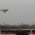 14_10-mast.jpg