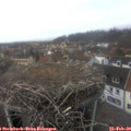 14_15-nest.jpg