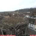 14_20-nest.jpg