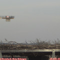 14_30-mast.jpg