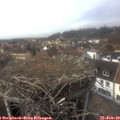 14_30-nest.jpg