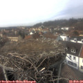 14_35-nest.jpg