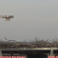 14_40-mast.jpg