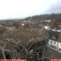 14_40-nest.jpg