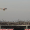 14_45-mast.jpg