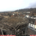 14_45-nest.jpg