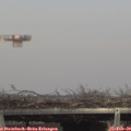 14_50-mast.jpg