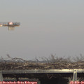 14_55-mast.jpg