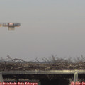 15_00-mast.jpg