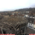 15_05-nest.jpg