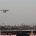 15_10-mast.jpg