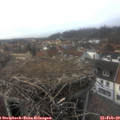 15_10-nest.jpg