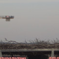 15_15-mast.jpg