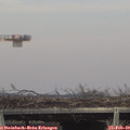 15_30-mast.jpg