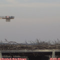 15_40-mast.jpg